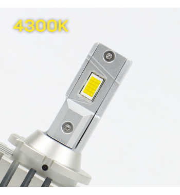 D1S 4300K