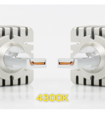 D1S 4300K
