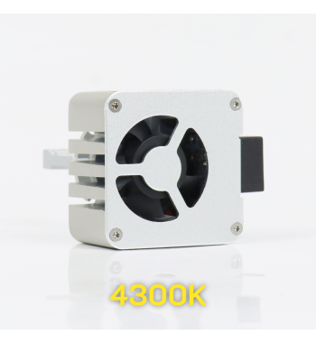 D1S 4300K